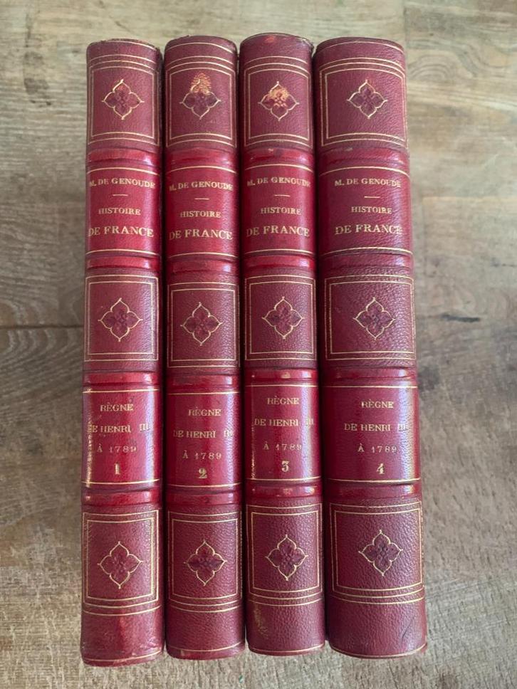Genoude Histoire de France 1850 in 4 mooie halfleren banden, Antiek en Kunst, Antiek | Boeken en Bijbels, Ophalen of Verzenden