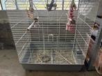 Vogelkooi, Dieren en Toebehoren, Ophalen of Verzenden, Vogelkooi