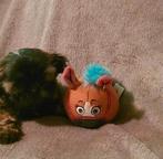 huiselijk opgevoed pup aangeboden, Dieren en Toebehoren, Honden | Chihuahua's en Gezelschapshonden, CDV (hondenziekte), 8 tot 15 weken