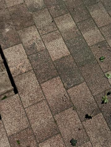 Gratis tuintegels af te halen – Wegens verbouwing beschikbaar voor biedingen