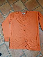 Peter Hahn wollen vest maat 40 zgan, Maat 38/40 (M), Verzenden, Oranje, Zo goed als nieuw