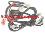 Kabelboom Agm Swan / Btc Riva II Euro2 32100-ACAE-E100, Ophalen of Verzenden, 50cc-Scooterparts, Info@50cc-scooterparts.nl, Veen