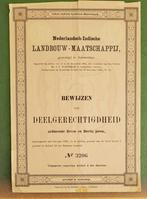 waardepapieren Nederlandsche Indsche Landbouw Maatschappij., Ophalen of Verzenden, Voor 1920, Aandeel