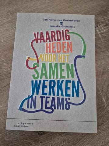 Vaardigheden voor het samenwerken in teams beschikbaar voor biedingen