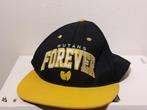 wutang forever snapback pet cap, Ophalen of Verzenden, Gedragen, One size fits all, Pet