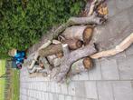 Eiken brandhout, Tuin en Terras, Haardhout, Minder dan 3 m³, Ophalen of Verzenden