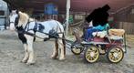 Recreatiewagen Enkelspan Koets Tuig 4 persoons, Dieren en Toebehoren, Rijtuigen en Koetsen, Gebruikt, Overige typen, Paard of Pony