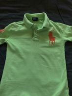 Lichtgroene polo van Ralph Lauren maat 134, Kinderen en Baby's, Kinderkleding | Maat 134, Jongen, Ophalen of Verzenden, Shirt of Longsleeve