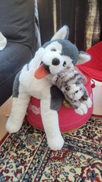 Husky en kat knuffel, Kinderen en Baby's, Speelgoed | Knuffels en Pluche, Ophalen, Zo goed als nieuw, Poes