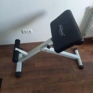Roman chair beschikbaar voor biedingen