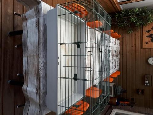 Binnen kooi konijn, Dieren en Toebehoren, Knaagdieren en Konijnen | Hokken en Kooien, Gebruikt, Kooi, Minder dan 60 cm, 75 tot 110 cm
