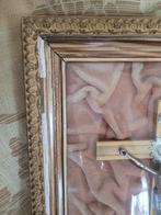 curiosa, Antiek en Kunst, Curiosa en Brocante, Ophalen of Verzenden