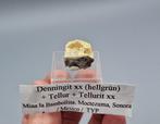 Denningiet (tl), Telluriet - Moctezuma Mine, Sonora, Mexico, Ophalen of Verzenden, Mineraal