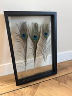 Vt Wonen Lijst met Pauwenveren, Ophalen, Gebruikt, Overige typen, Minder dan 50 cm