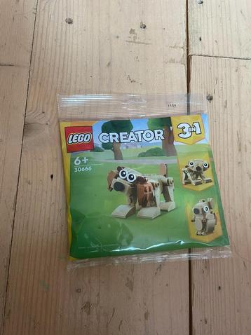 Lego creator 3 in 1 hond polybag 30666