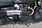 TRIUMPH SCRAMBLER 900 CHROME EDITION (bj 2023), 2 cilinders, Bedrijf, 900 cc, Meer dan 35 kW