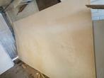 Nieuw Multiplex Populier 9mm - 310x153cm, Ophalen, Nieuw, Multiplex, Minder dan 20 mm