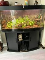 Juwel Vision 120 Aquarium 240 Liter plus onderkast, Hobby en Vrije tijd, Gebruikt, Ophalen of Verzenden, Dieren en toebehoren