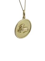 Massief Gouden Sterrenbeeld Ronde Plaat Hanger Steenbok - 3D, Onbekend, Ophalen of Verzenden, Zo goed als nieuw, Onbekend
