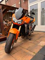 Kawasaki Z1000., Particulier, Naked bike