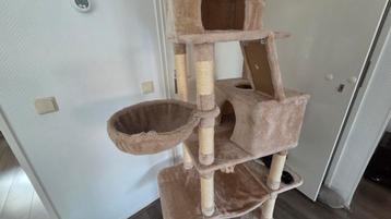 Krappaal (kattenboom) beschikbaar voor biedingen