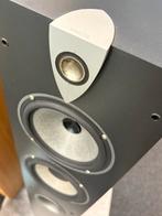 Focal Profile 918, Zo goed als nieuw, 120 watt of meer, Front, Rear of Stereo speakers, Ophalen