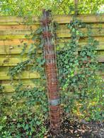 Tuin gaas cq draad verzinkt, Ophalen, Gebruikt, 20 meter of meer, Draad