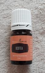 Young Living Ocotea, Ophalen of Verzenden, Nieuw, Aroma