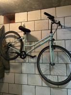 Riverside Fiets in uitstekende staat, Ophalen, Zo goed als nieuw, Overige merken, Versnellingen