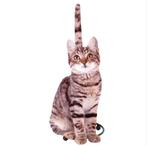 Keukenrolhouder met een kat, Ophalen of Verzenden, Nieuw