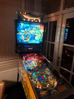 Williams Fish Tales Flipperkast - Klassieker!, Verzamelen, Automaten | Flipperkasten, Gebruikt, Ophalen of Verzenden, Williams