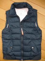 H&M bodywarmer donker blauw maat 36, Kleding | Dames, H&M, Blauw, Ophalen of Verzenden, Zo goed als nieuw