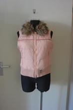 Abercrombie & Fitch bodywarmer dons L baby roze, Kleding | Dames, Bodywarmers, Maat 42/44 (L), Ophalen of Verzenden, Roze, Gedragen
