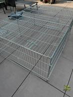Goede stevige cavia konijnen ren, Dieren en Toebehoren, Ophalen, Cavia, 90 cm of meer, Hok