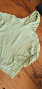 PME legend hoody met artwork sweater maat L mint groen, Maat 52/54 (L), Ophalen of Verzenden, Zo goed als nieuw, Pme Legend