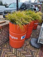 5 grote olie Tonnen incl planten Alles voor 30 Euro, Ophalen, Gebruikt