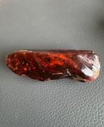 Antieke Barnsteen Broche - 15,3 gram, Overige materialen, 4 tot 7 cm, Gebruikt, Bruin