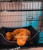 Zwarte Bench, Dieren en Toebehoren, Hondenhokken, Gebruikt, Minder dan 65 cm, Hondenhok, Ophalen of Verzenden