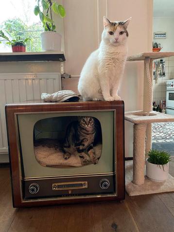 Retro philips tv katten meubel beschikbaar voor biedingen