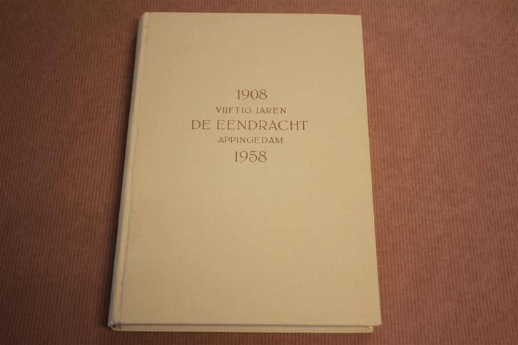 Vijftig jaren Coöp Stroocartonfabriek Eendracht Appingedam, Boeken, Geschiedenis | Stad en Regio, Gelezen, Ophalen of Verzenden