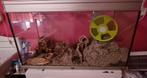 2 aquariums / kooien, Dieren en Toebehoren, Knaagdieren en Konijnen | Hokken en Kooien, Kooi, Gebruikt, Hamster, Ophalen
