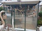 Voilere met 30 agapornis te koop, Dieren en Toebehoren, Vogels | Hokken en Kooien, Ophalen, Zo goed als nieuw, Vogelkooi