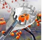 Nieuwe fruitplukker met korte steel, Tuin en Terras, Hand-tuingereedschap, Ophalen of Verzenden, Nieuw, Overige soorten