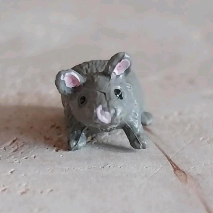 Schleich rat