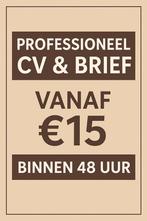 Professioneel CV en/of Sollicitatiebrief, Overige vormen
