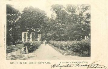 (380-805-009) Beetsterzwaag Weg naar Boornbergum beschikbaar voor biedingen