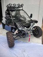 Gezocht: Renli buggy 500cc, Ophalen of Verzenden