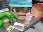 Hamster kooi met veel accessoires, Dieren en Toebehoren, Ophalen of Verzenden, Zo goed als nieuw