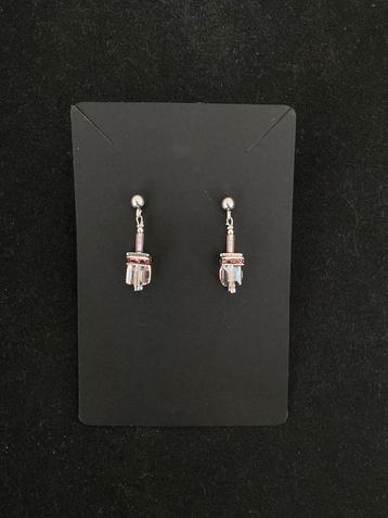 Aanbieding NIEUW exclusieve oorbellen naar luxe merk. beschikbaar voor biedingen