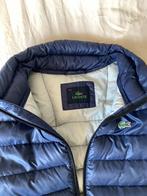 Gilet Lacoste, Ophalen of Verzenden, Gedragen, Maat 52/54 (L)